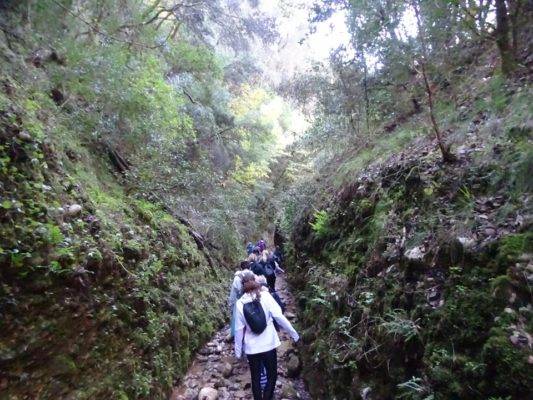 Ομάδα πεζοπόρων σε στενό πέρασμα με ψηλά, φυτεμένα τοιχώματα στο φαράγγι των Κενταύρων