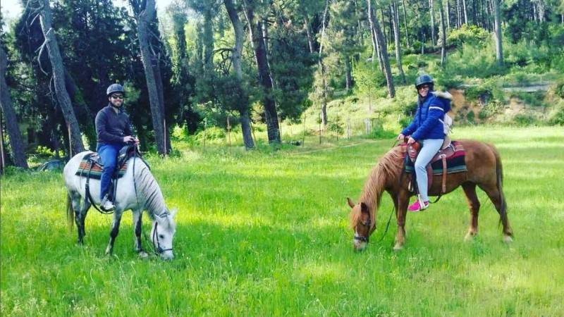 Ιππασία στις Μηλιές Πηλίου: διάλεξε τη διαδρομή που σου ταιριάζει